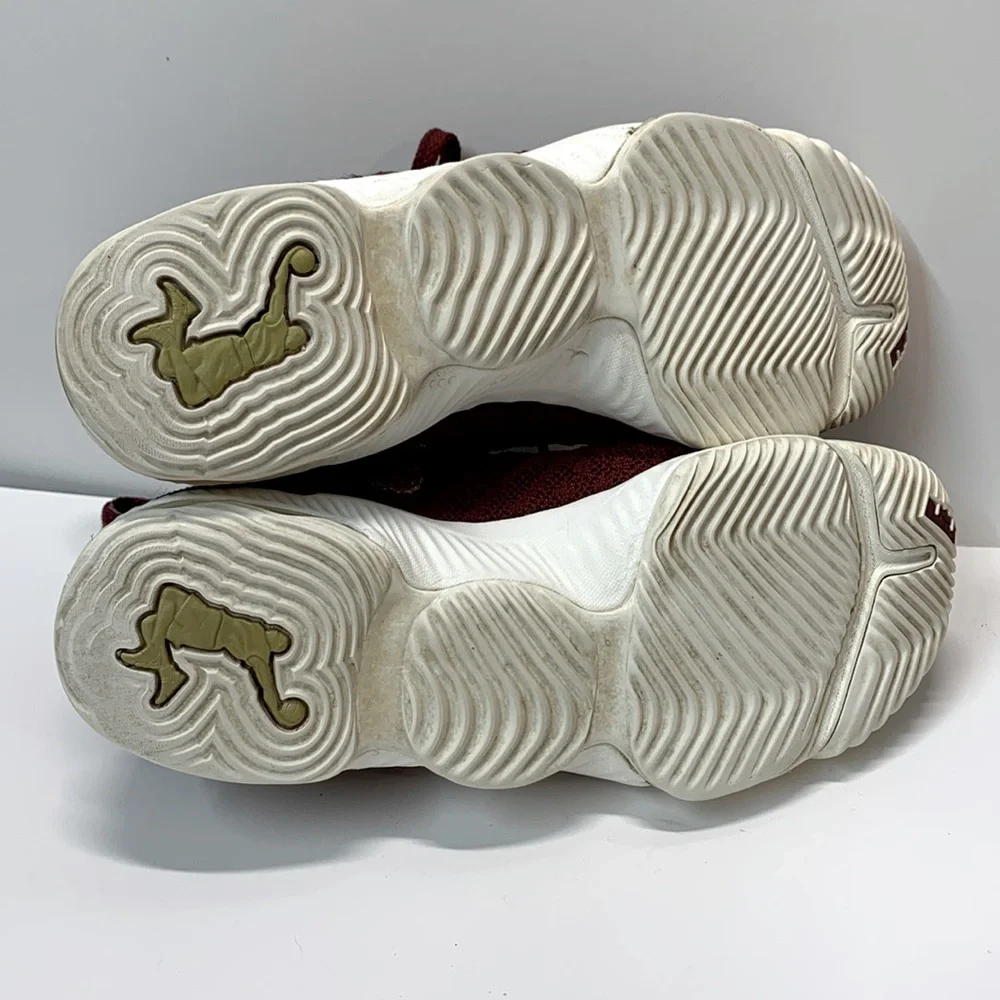 Rare 🔥 Nike LeBron 16 “King” Shoes - Picture 15 of 16